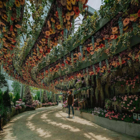 OMG！新加坡 花园